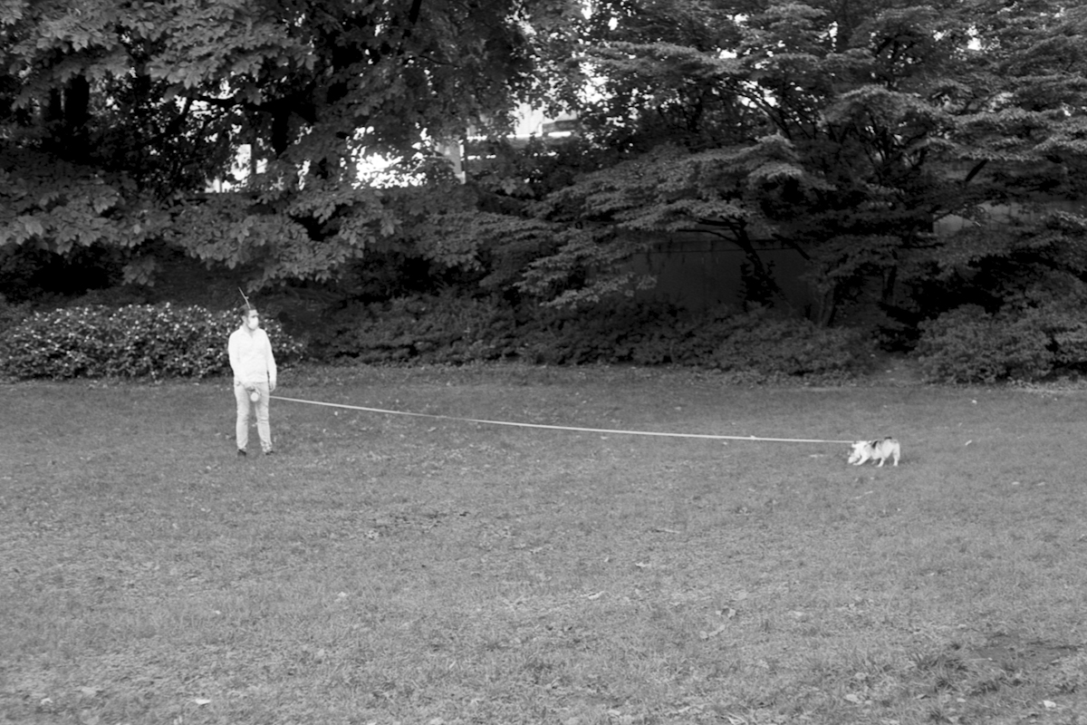 person with dog on long leasht